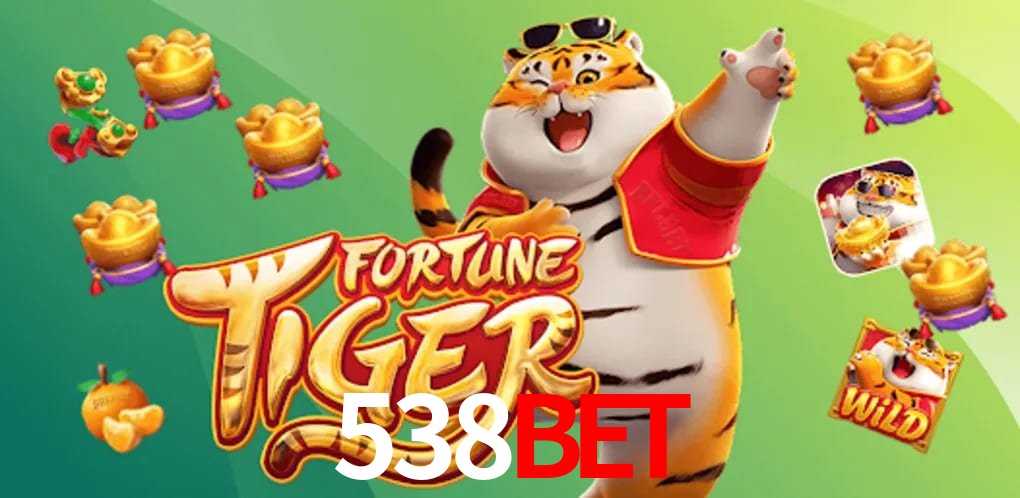 Statistics 538bet